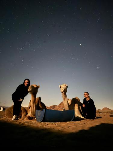 Domácí mazlíčci ubytovaní s hosty v ubytování Desert Boulevard Camp