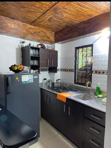 a kitchen with a stainless steel refrigerator and a sink at Los micos in San Rafael