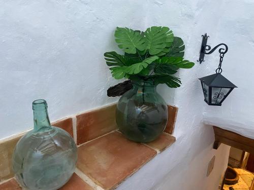 a green vase sitting next to a lamp and a plant at La casa palo in Cehegín