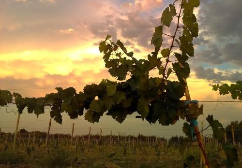 Příroda nedaleko prázdninového domu