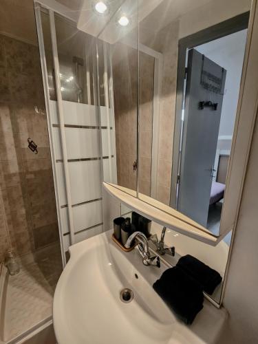 La salle de bains est pourvue d'un lavabo, d'une douche et d'un miroir. dans l'établissement Henri, Hyper centre, Parking privé, à Reims