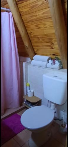 a bathroom with a toilet and a pink shower curtain at Alpes San Rafael in San Rafael