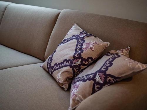 普夫龙滕Ferienwohnung Kuschelnest - Haus Alpentenne, Pfronten的沙发上两个枕头