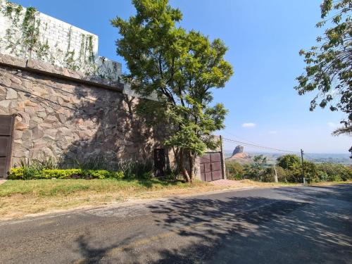 a stone wall with a tree next to a street at Hotel Alondra y Eventos in Los Laureles