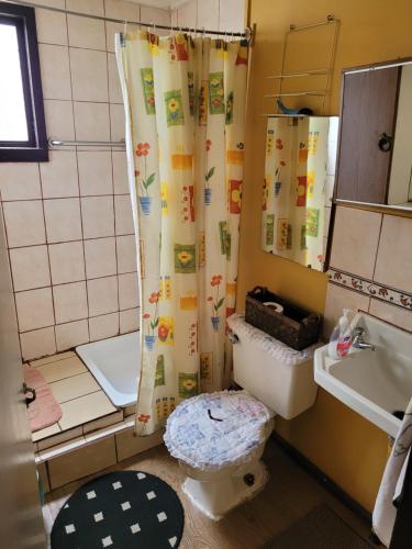 a bathroom with a toilet and a sink and a shower at CasaNancy in Panguipulli