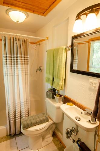a bathroom with a toilet and a sink and a mirror at Whispering Woods Cabins & Grill in Jordan