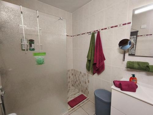 a bathroom with a shower and a toilet at Joy and Friends 2 El Carmen in Los Cristianos