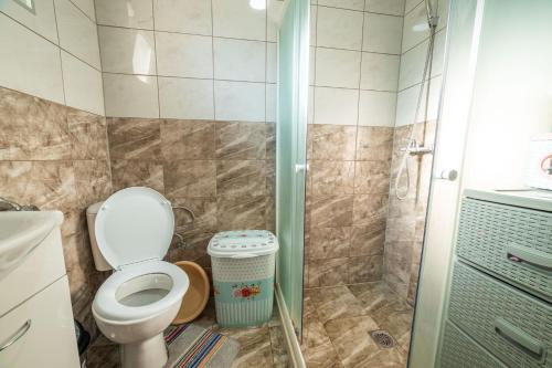 a bathroom with a toilet and a shower at Hacienda Antioquia in Berane