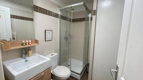 une salle de bain avec une douche, des toilettes et un lavabo dans l'établissement Studio proche plage avec jardinet et parking - Casa Garcia, à Villeneuve-Loubet