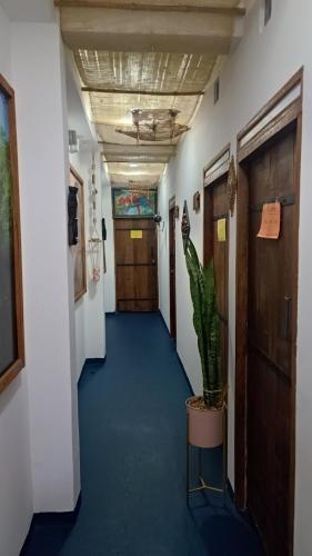 a hallway of an office with a plant in a pot at Hotel Gavas Amazonas in Leticia