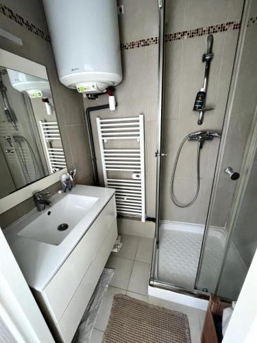 une salle de bain avec un lavabo et une douche dans l'établissement Appartement in Paris Bercy, à Paris
