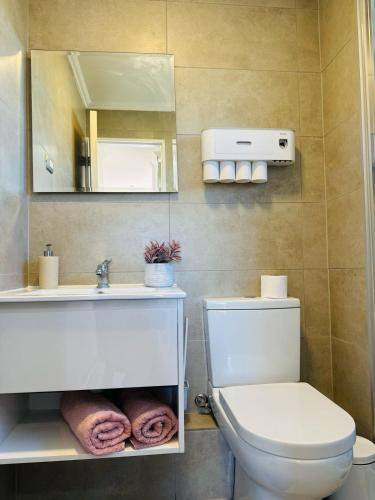a bathroom with a toilet and a sink and a mirror at Moderno y Amplio in Los Ángeles
