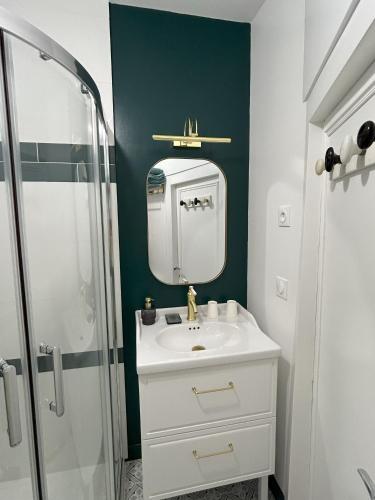 une salle de bain avec un lavabo blanc et un miroir dans l'établissement Appartement centre ville, à Châteauroux