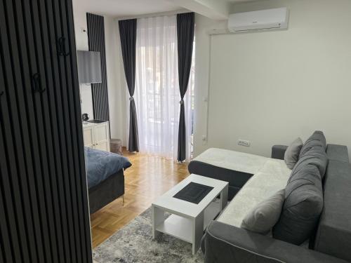 una sala de estar con un sofá y una cama en Apartman David, en Vrnjci