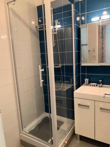 une salle de bain avec douche et lavabo dans l'établissement Résidence Port Soleil Bâtiment B1 - Appartement rez-de-chaussée 2 pièces - 2 pers - PORT SOLEIL MAE-1941, au Cap d'Agde