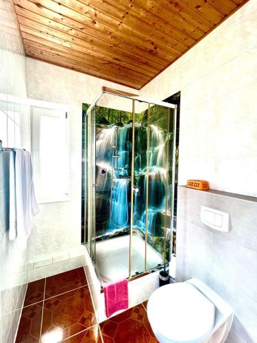 a bathroom with a shower and a toilet at Pension Dang in Norddeich