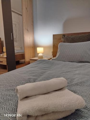 a bedroom with a bed with a white blanket at Sobe "Mira",Lipovac -Bajakovo in Lipovac