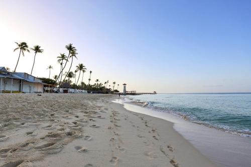 a sandy beach with palm trees and the ocean at 504 New, Fantastic Rooftop with Private Jacuzzi in La Laguna