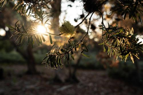 Giardino di Numie - Freycinet Peninsula - Glamping - Heated - Waterfront