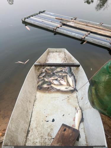 a boat with some fish in the water at Fish Farm Homestay in Yên Bái