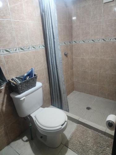 a bathroom with a toilet and a shower at Loft en ciudad de Puebla in Puebla