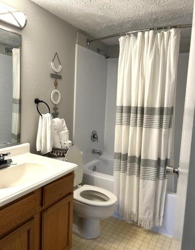 a bathroom with a toilet and a shower curtain at Vista Ridge Retreat in Gatlinburg