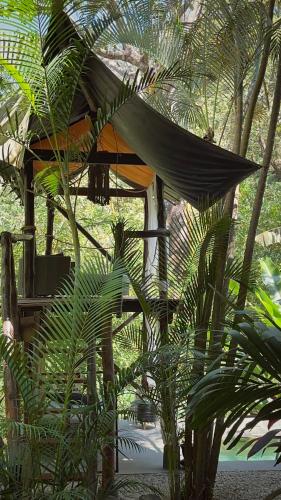 Un jardín fuera de Canaima Chill House