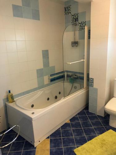 a bathroom with a tub and a shower and a toilet at Apartamento na Praia da Vagueira in Vagos