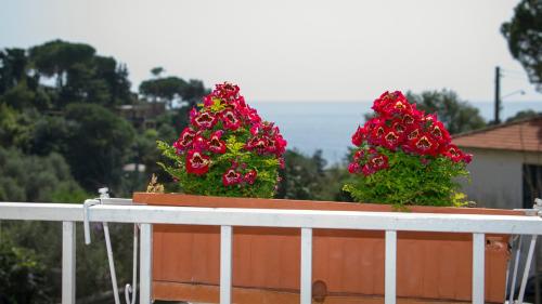 three red flowers on top of a white fence at Hotel Cristallo in Lerici