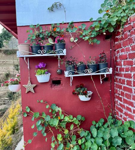 a wall with several pots of plants on it at EcoEscape Mukteshwar in Mukteswar