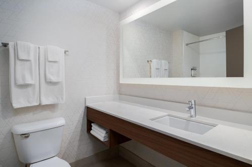 a bathroom with a sink and a toilet and a mirror at Holiday Inn Express Hotel & Suites Bentonville by IHG in Bentonville