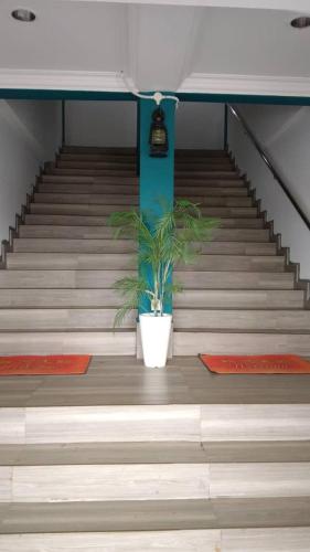 a staircase with a potted plant in the middle at Apollo hotel in Skudai