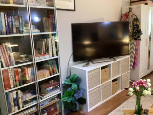 TV a/nebo společenská místnost v ubytování AC 1 Bed Studio Apartment 25+ Non Smokers