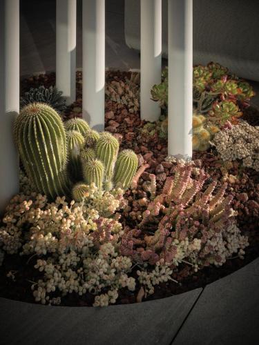 Jardín al aire libre en 大理既下山兰往洱海酒店