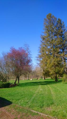 Photo de la galerie de l'établissement Maison des marais, à Dommartin