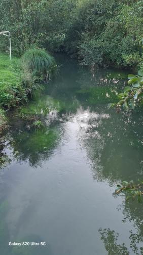 Photo de la galerie de l'établissement Maison des marais, à Dommartin