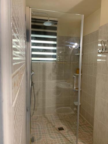 a shower with a glass door in a bathroom at Appartement 1 pièce Saint-Gilles-Les-Bains in Saint-Gilles les Bains
