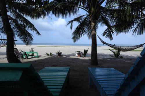 Gallery image of White Saand Beach Residence in Alleppey