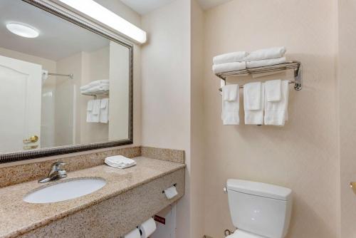 Koupelna v ubytování Comfort Inn & Suites Dover near Speedway
