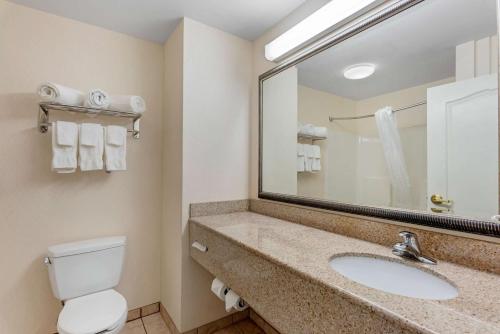 Koupelna v ubytování Comfort Inn & Suites Dover near Speedway