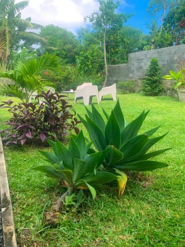 two white chairs and a plant in the grass at Leu Zarlor Location in Piton Saint-Leu