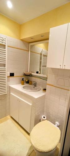 une salle de bain avec un lavabo, des toilettes et un miroir dans l'établissement Studio Vieux Village Roquebrune Cap Martin RCM, à Roquebrune-Cap-Martin