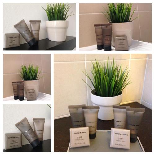 a group of four pictures of plants in pots at Residence Theresia- Tailor Made Stay in Trieste