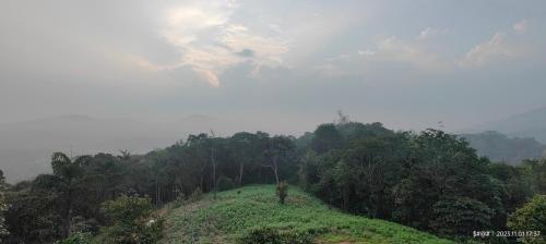 a person standing on top of a hill with trees at View Point Stay in Madikeri
