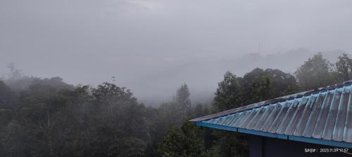 a misty forest with a blue roof and trees at View Point Stay in Madikeri