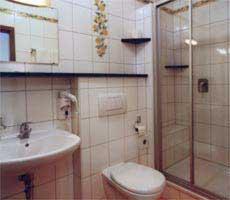 y baño con aseo, lavabo y ducha. en Hotel-Gasthof Lamm en Rot am See