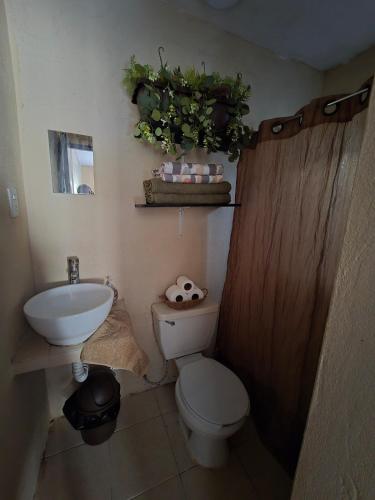 ein Badezimmer mit Toilette und Waschbecken in der Unterkunft Casa Rolo in Tenosique de Pino Suárez