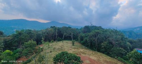 an aerial view of a hill with trees on it at View Point Stay in Madikeri