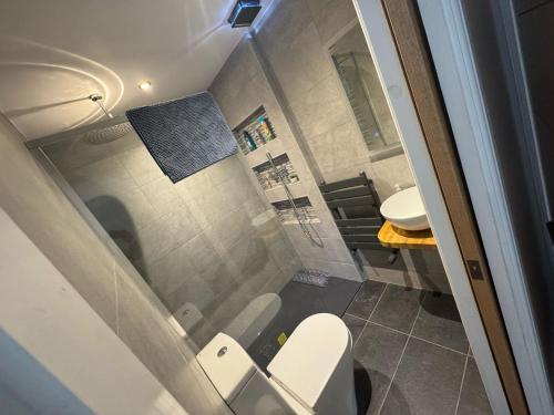 a small bathroom with a toilet and a sink at 3 Bedroom Holiday home with Hot Tub in Carew