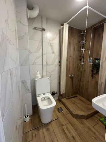 un bagno con wc e doccia di Li-Sa a Skopje